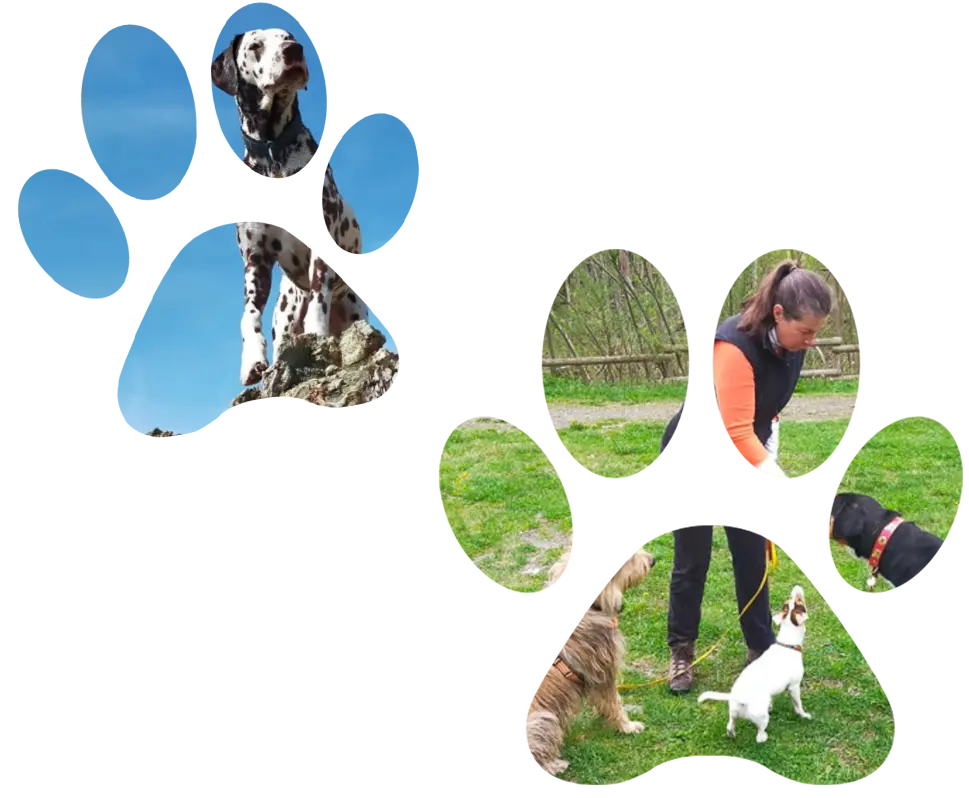 Votre éducateur canin à Combloux