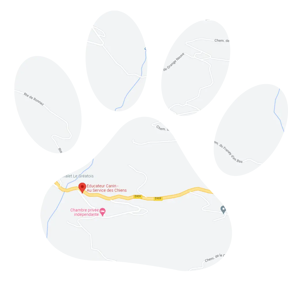 Carte Au Service des Chiens