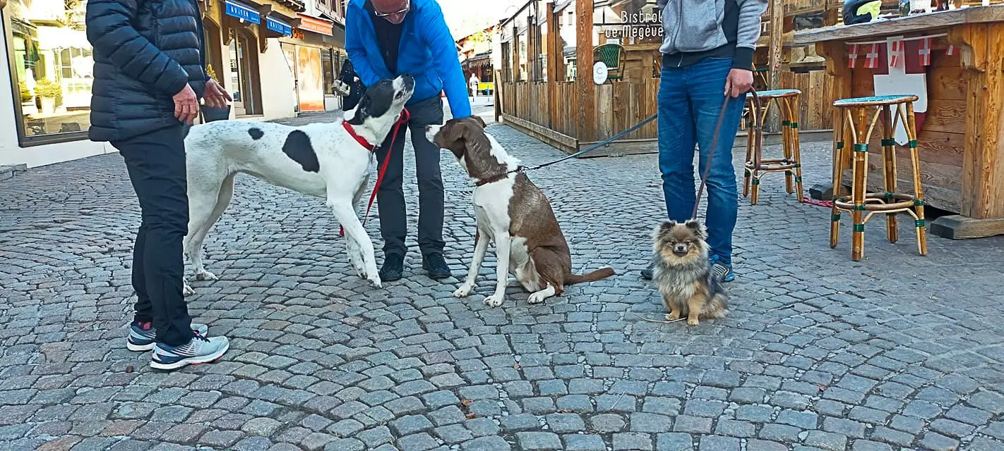 Cours particuliers et Cours collectifs