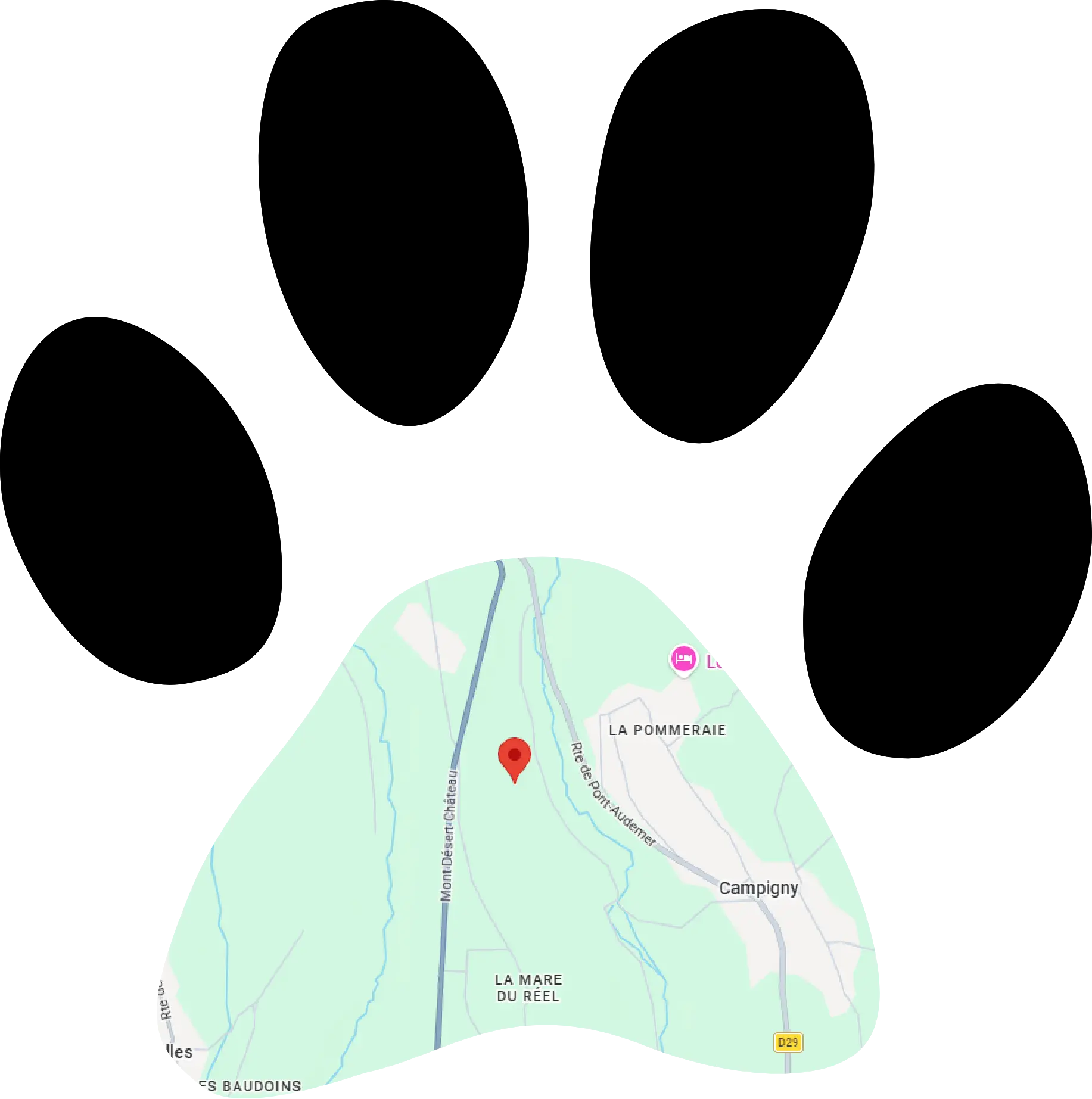 Carte Au Service des Chiens